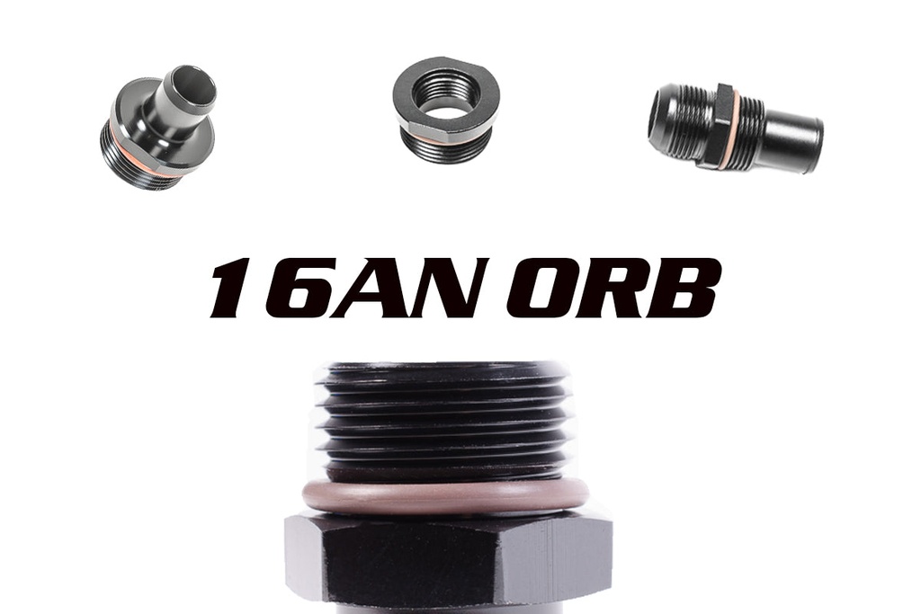 16AN ORB Fittings
